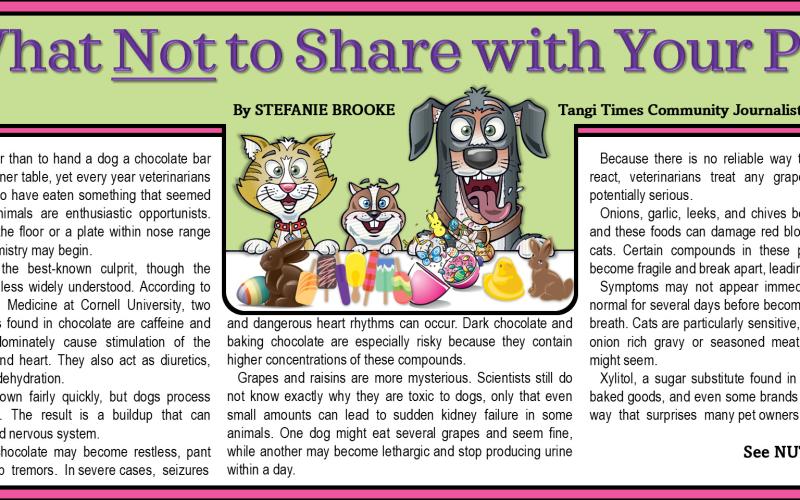 What Not to Share with Your Pet