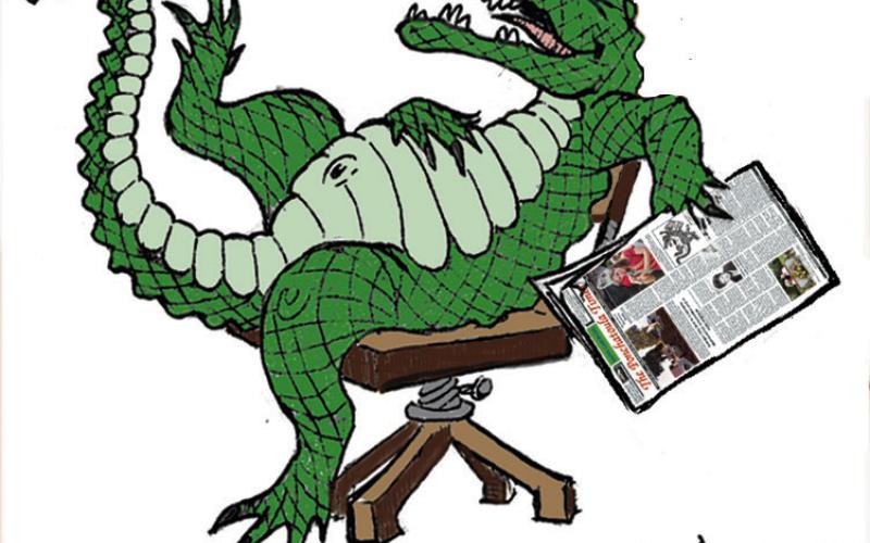The Alligator