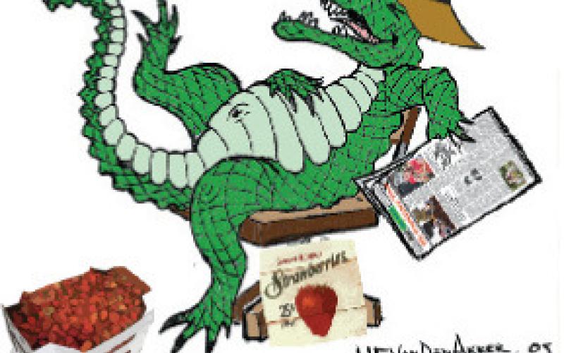 The Alligator