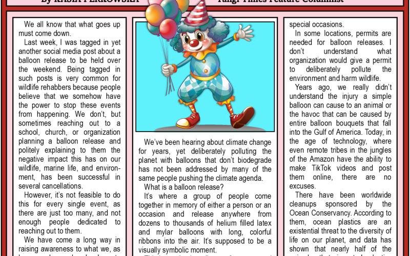 Balloon Releases Must End