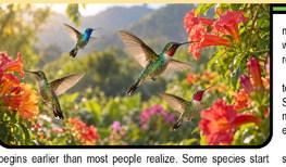 Fall Bird Migration Is Underway