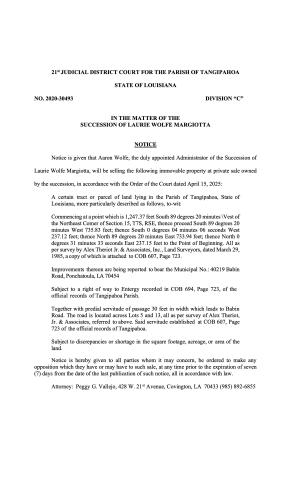 Notice of Publication for Babin Street