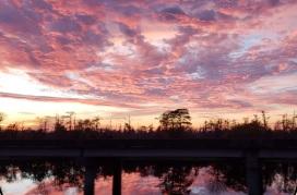 Save Lake Maurepas