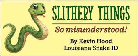 Do Snakes Make Good Pets?