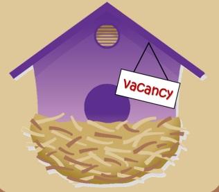 Empty Nest Syndrome