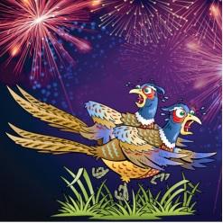 Tke Effects of Fireworks on Wildlife