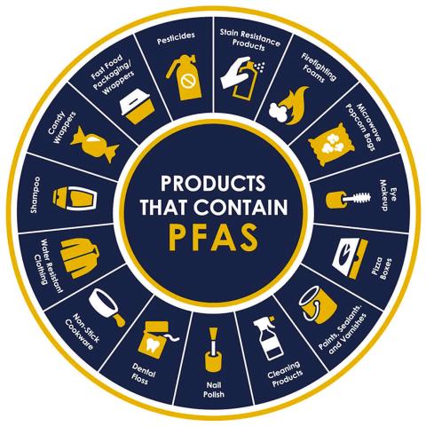 	Forever Chemicals: Should We Be Concerned?