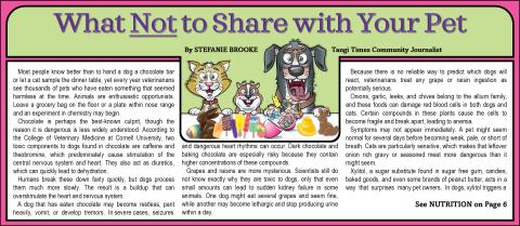 What Not to Share with Your Pet