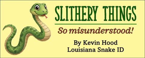 Snakes Are Friends, Not Foes