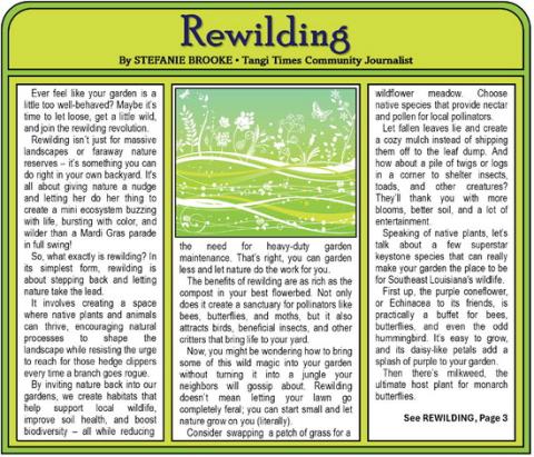 Rewilding