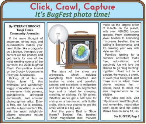 Click, Crawl, Capture 