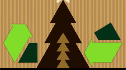 The Afterlife of Christmas Trees