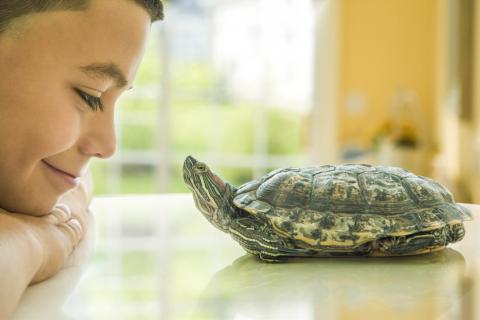 Shell Yeah! Tickfaw State Park Hosts a Turtle Talk for Nature Lovers of All Ages