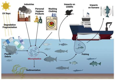 Microplastics - How We Can Reduce Them
