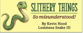 Why Am I So Scared of Snakes?