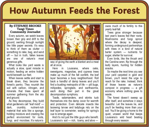 How Autumn Feeds the Forest