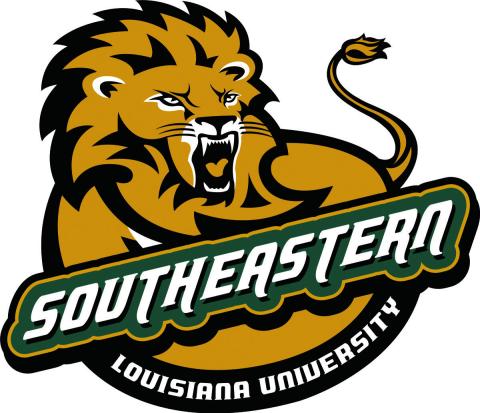 Lions Softball Sizzles