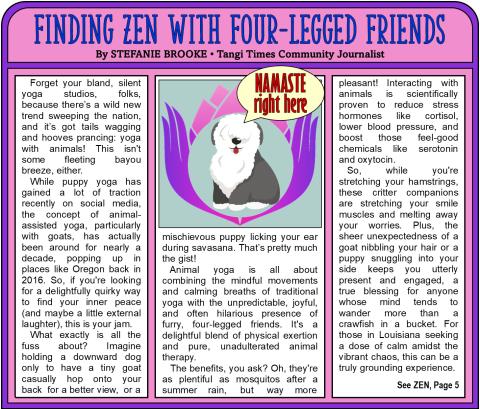 FINDING ZEN WITH FOUR LEGGED FRIENDS