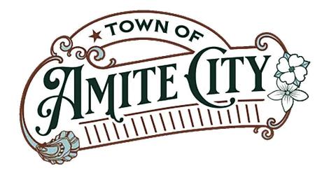 Discord at Amite City Council Meeting over Budget Issues