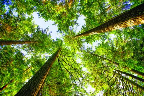 The Origins of Earth Day