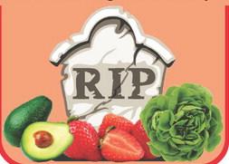 Gone Too Soon: the Tragic Tale of Spoiled Food