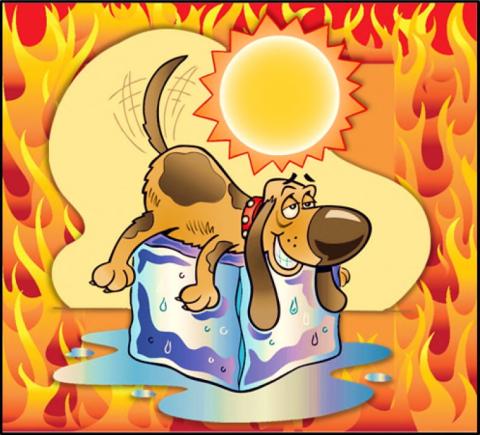 Beat the Heat Before It Beats your Wallet
