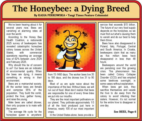 The Honeybee: a Dying Breed
