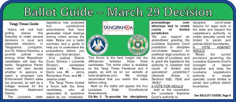 Ballot Guide - March 29 Decision