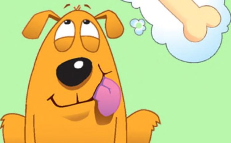 Dog Commands That Save the Day