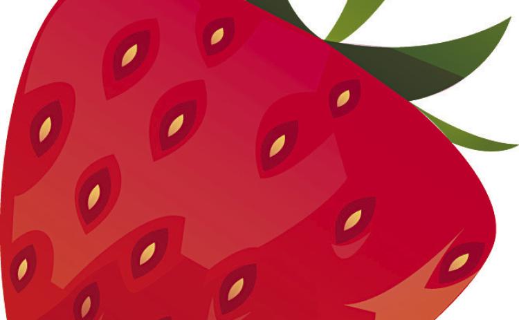 Strawberry Day in the Park: