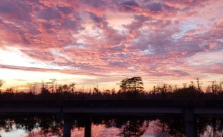 Save Lake Maurepas