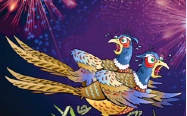 Tke Effects of Fireworks on Wildlife
