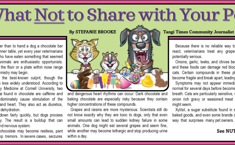 What Not to Share with Your Pet