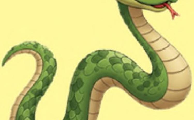 Slithery Things