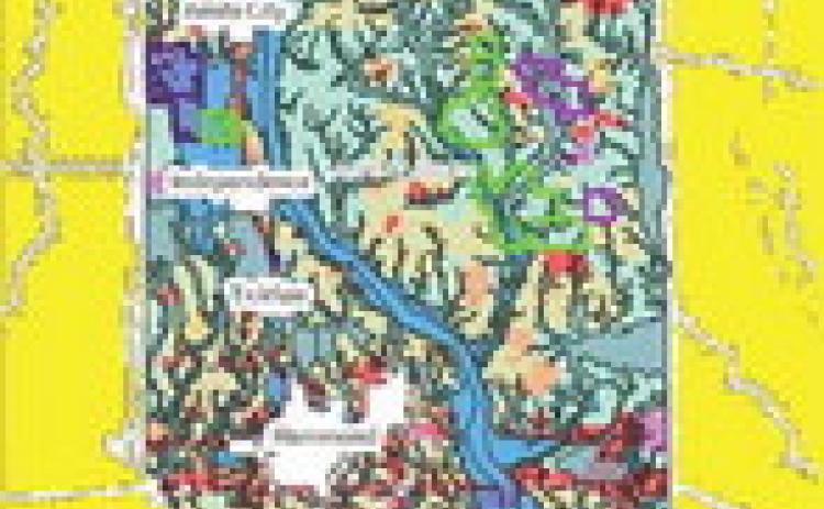At left, the Future Use Land Map (FLUM), adopted in November 2023, uses seven categories to recommend how areas of the parish should be developed to achieve the goals and objectives in the 2045 Plan. Image courtesy of Tangipahoa Parish Government.