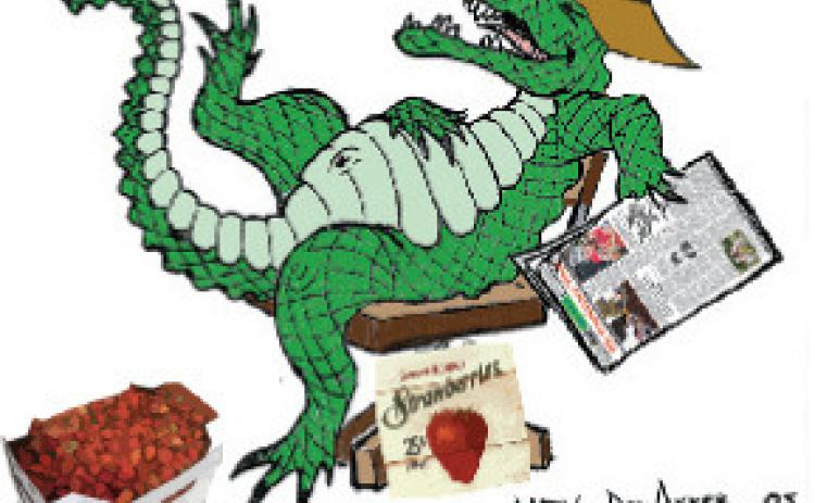 The Alligator