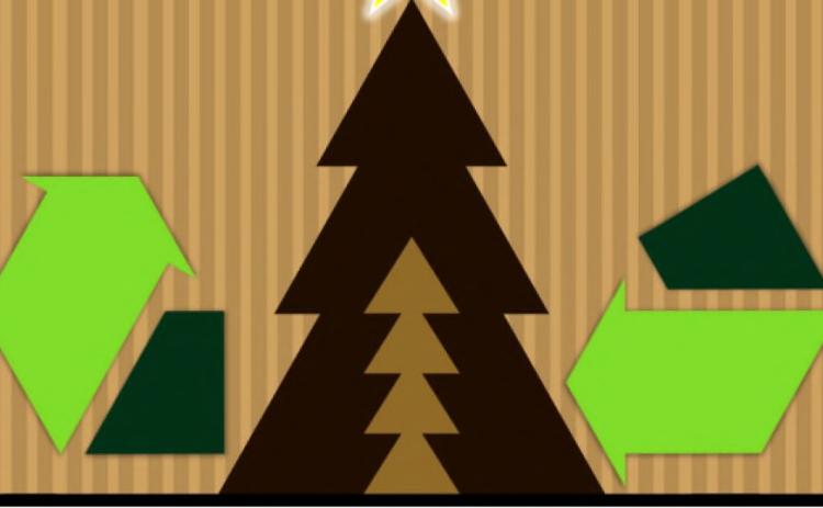 The Afterlife of Christmas Trees
