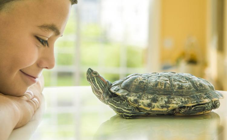 Shell Yeah! Tickfaw State Park Hosts a Turtle Talk for Nature Lovers of All Ages