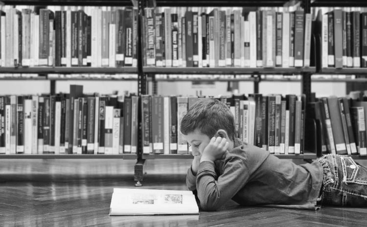 Lots to Do at the Library
