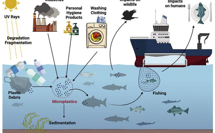 Microplastics - How We Can Reduce Them