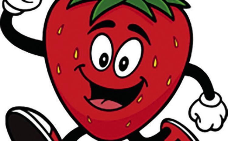 Strawberry Strut this Sunday