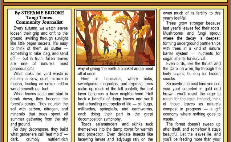How Autumn Feeds the Forest