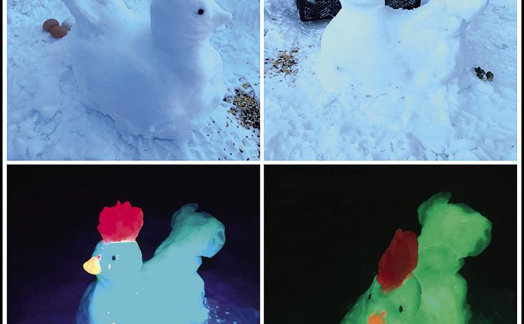SOLA Snow Brings out the Inner Child