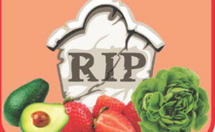 Gone Too Soon: the Tragic Tale of Spoiled Food