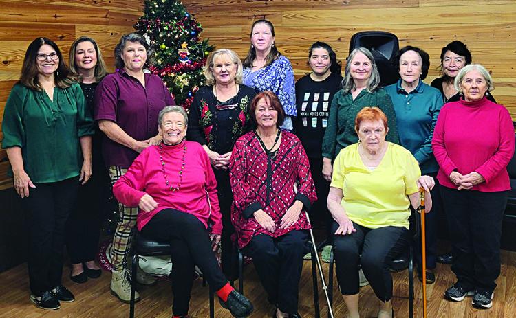 Sitting (left to right): Evelyn Sanders, Nancy Bourgeois, Mary McCaffrey Standing (left to right): Tracey Boyle, Pam Bankston, Karen Ziebarth, Pam Villagran, Mary Smith, Alexandra Owen, Alisa LaGroue, Jerry Pinsel, Vicky Fannaly, Deborah Young (Courtesy Photo)