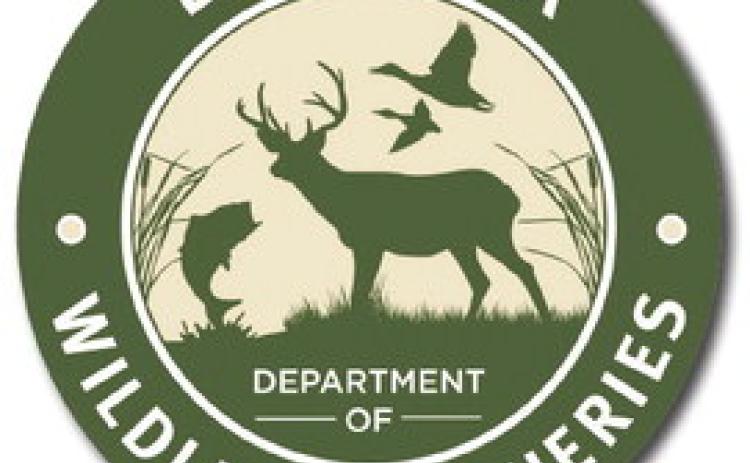 Arrest Made in Fatal Boating Incident