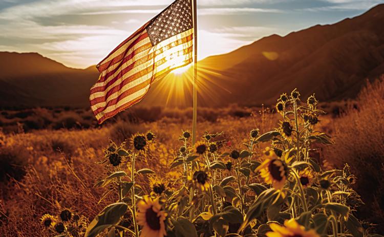 Make America Beautiful Again