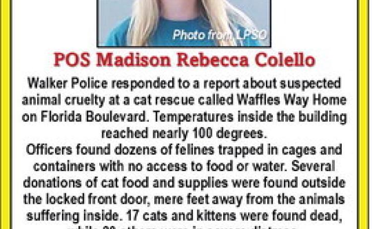 POS OF THE WEEK