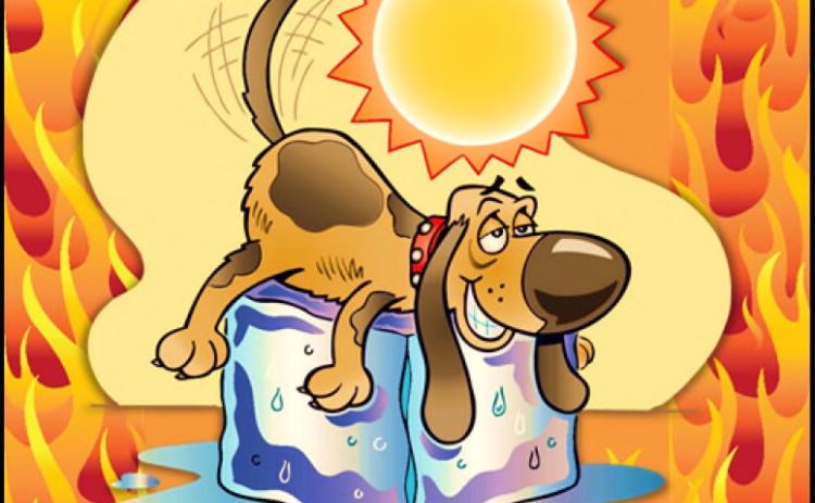 Beat the Heat Before It Beats your Wallet