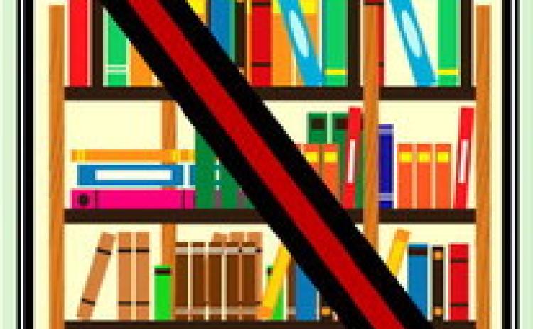 Audubon Regional Library Board Weighs System Split